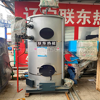 生物質立式蒸汽發生器  生物質立式蒸汽發生器